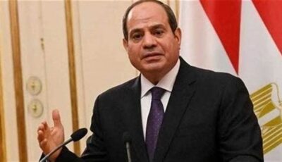 مصادر: الرئيس السيسي يطلب دراسة كاملة بإمكانية زراعة نبات الزعفران