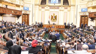 الرقم يحتاج إلى تحديث.. مناقشات النواب تكشف عن 15 مليون أُمي في مصر في 2017 – المحرر العربي