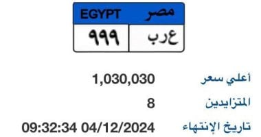 كيفية الحصول على لوحة مميزة لسيارة إلكترونيا.. كون لوحتك الآن – المحرر العربي