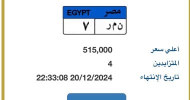 خطوة بخطوة.. طرق الحصول على لوحة مميزة لسيارتك إلكترونيا – المحرر العربي