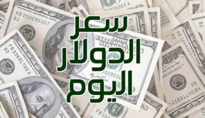 أسعار الدولار والعملات اليوم السبت 28 ديسمبر 2024- المحرر العربي