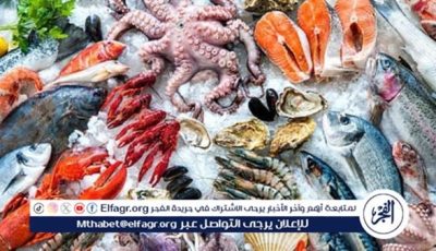 أسعار المأكولات البحرية والجمبري اليوم الخميس 8-5-2025 في محافظة قنا