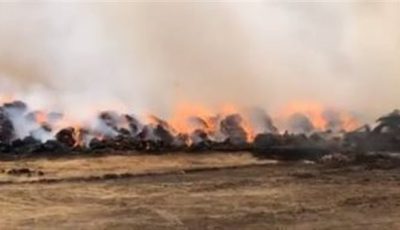 استمرار أعمال السيطرة على حريق شونة كتان بالغربية.. والدفع بـ 22 سيارة إطفاء| بث مباشر