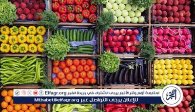 أسعار الخضراوات والفاكهة اليوم السبت 10-5-2025 بسوهاج