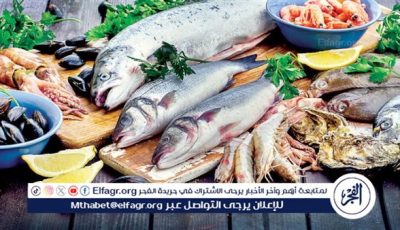 أسعار السمك البلطي والبوري اليوم الأحد 11-5-2025 في محافظة قنا