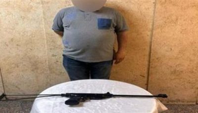 الداخلية تكشف تفاصيل واقعة استهداف الكلاب الضالة بـ«أعيرة رش» في مصر الجديدة