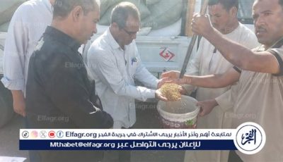 توريد 89 الف طن قمح للشون والصوامع بمراكز المحافظة