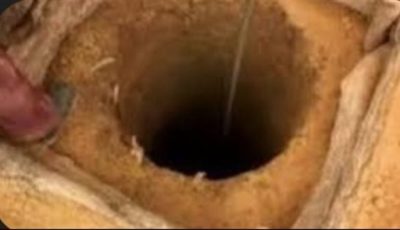 مصرع شخصين داخل بيارة صرف بالبحيرة