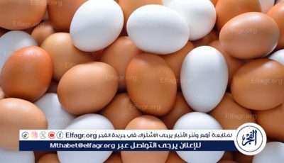 أسعار طبق البيض اليوم الثلاثاء 13-5-2025 في قنا