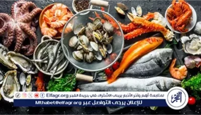 أسعار المأكولات البحرية والجمبري اليوم الأحد 11-5-2025 في محافظة قنا