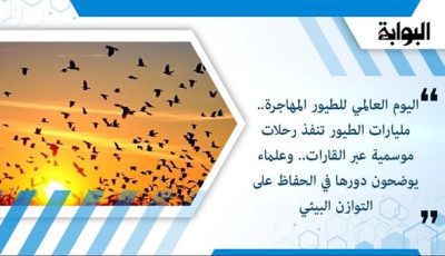 اليوم العالمي للطيور المهاجرة هو احتفال بأهميتها وحمايتهامن المخاطرفى هجرتها