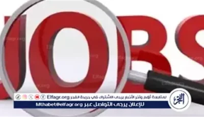 وزارة العمل تعلن عن 45 فرصة عمل جديدة بالأردن برواتب تصل إلى 500 دينار
