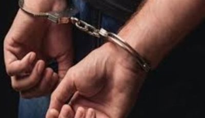 مقطع فيديو يقود رجال الأمن لضبط عاطل ربط 3 قطط بحبل بالعمرانية