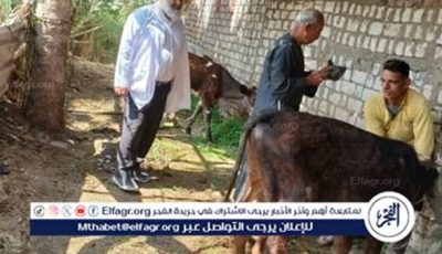 الطب البيطري بالفيوم في تقرير شامل عن أنشطته خلال أبريل