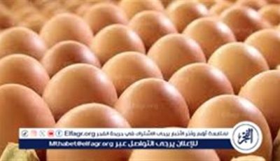 بورصة الدواجن.. أسعار الفراخ البيضاء اليوم الأربعاء 14-5-2025 في قنا
