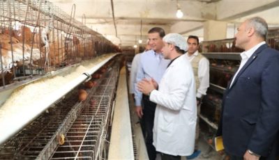 وزير الزراعة ومحافظ الشرقية يتفقدان مشروعات التعاون والإصلاح الزراعي بالمحافظة