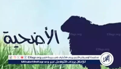 ما حكم الأضحية إذا تبين حملها؟.. الأزهر يوضح